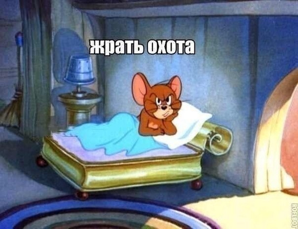������� ����� - 24 ��� 2017 � 22:01
