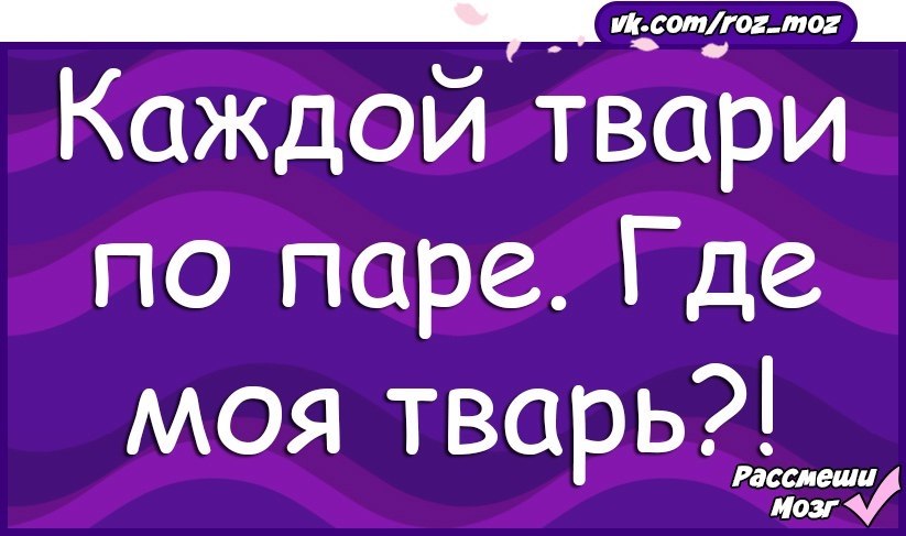  - 15  2017  19:53