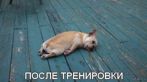Как бороться с усталостью? 7 полезных советов: 1. Следите, чтобы углеводы, протеин и жиры в вашем ...