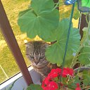 ���� Olga, ���������, 74 ���� - ��������� 11 ���� 2017 � ������ ������ ��������