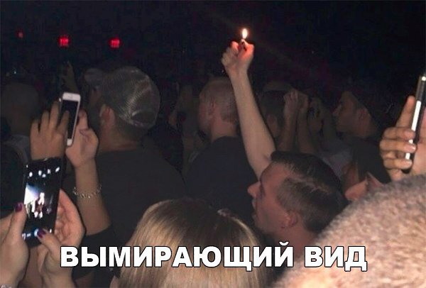    :D - 13  2017  23:34