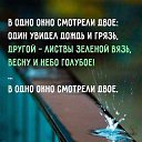 ���� Venera, ��������-��-������ - ��������� 20 �������� 2017 � ������ ������ ��������