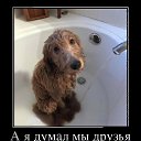  Aleks, , 65  -  1  2017    