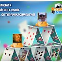 ���� ������, ������ �������� - ��������� 8 ������ 2017 � ������ �������� �������-�������