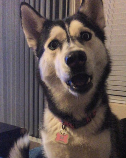   ?!