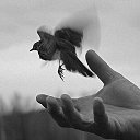 ���� �����, ������, 51 ��� - ��������� 21 ������ 2017 � ������ ������ ��������