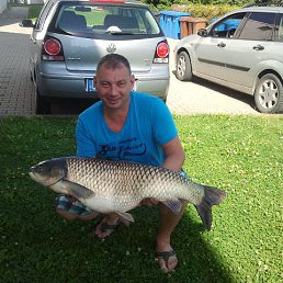  Stepan, , 56  -  15  2017