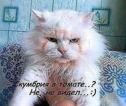 Comedy Club - 21  2017  07:22