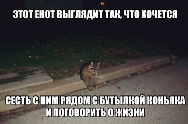  - 17  2017  19:51