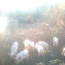  --   ,   ...-  -- - ...    .