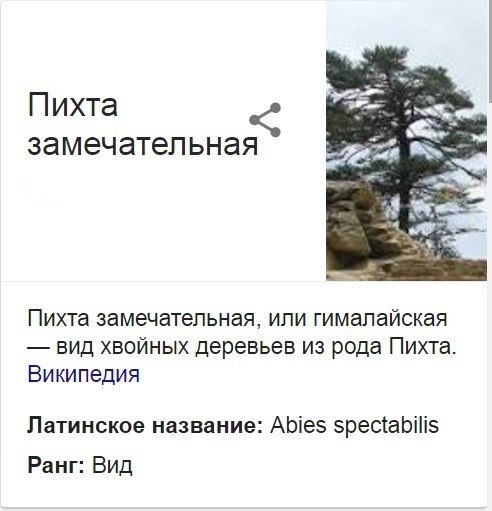  ,  ,  ! - 2