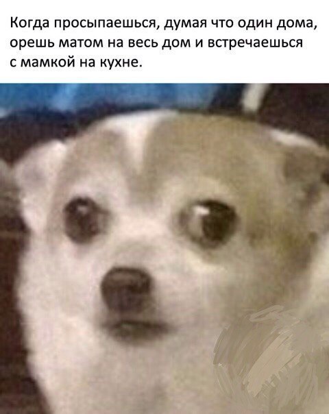 ? ,  ! - 5  2017  15:28