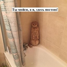 �, �������, 48 ���