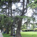  , , 60  -  6  2017   , ,06.09.17. ,...