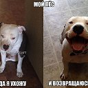 ���� �����, ������ - ��������� 19 ���� 2017 � ������ ������ ��������