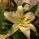 ���� ����, ������ - ��������� 19 �������� 2017 � ������ ���� ����������