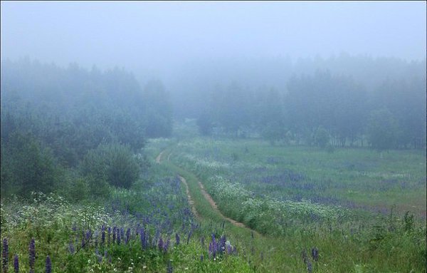 Красота раннего утра