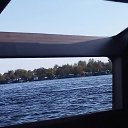 ���� �����, �����-���������, 51 ��� - ��������� 25 �������� 2017 � ������ ������ ��������