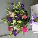 ���� ������, ���������, 49 ��� - ��������� 15 �������� 2017 � ������ ���� ����������