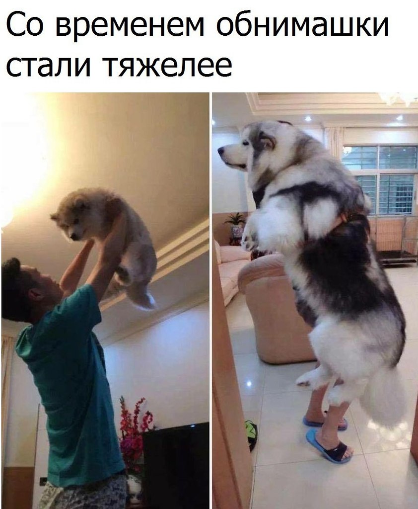   - 19  2017  11:13