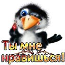 ���� �������, ���� - ��������� 2 ���� 2017 � ������ ������ ��������
