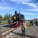 ���� �����, �����-���������, 54 ���� - ��������� 1 ���� 2017 � ������ ������ ��������