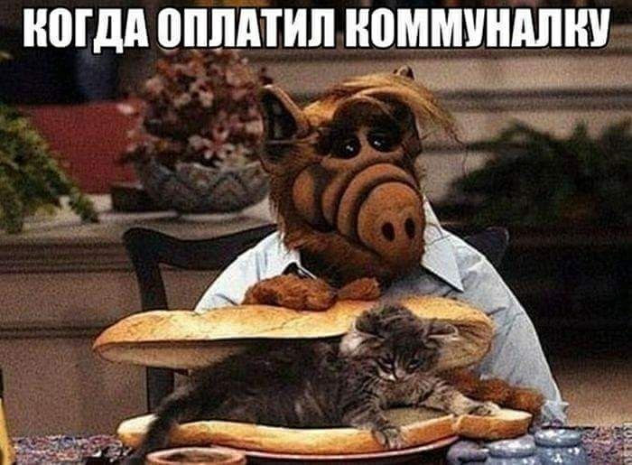 Aleksandr - 6  2017  23:05