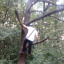 ���� �������, �������, 38 ��� - ��������� 8 �������� 2017 � ������ ��� ������