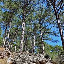  , , 60  -  11  2017     ,,01.04.17