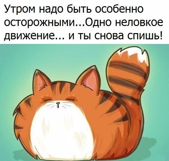  |   - 7  2017  09:50