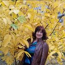 ���� ����, ������-��-����, 71 ��� - ��������� 9 ������� 2017 � ������ ���������� ������