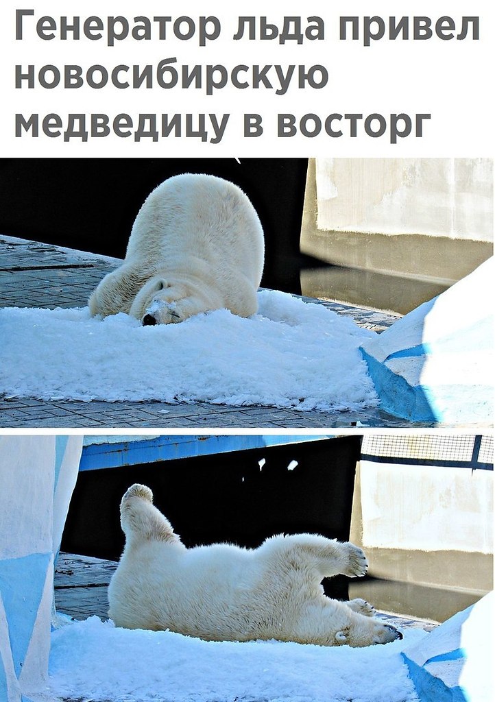  - 3  2017  00:35