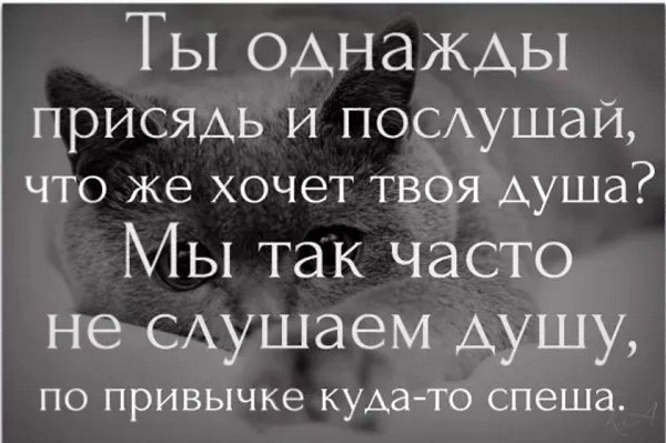 Joli Rem - 4 ���� 2017 � 18:19