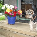 ����-�� ����� ����� ��������. �� ������� �������� (������)�