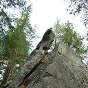 ���� ���������, ������, 52 ���� - ��������� 9 ��� 2017 � ������ ��������� ������ ��������� ����� (06.05.17)�