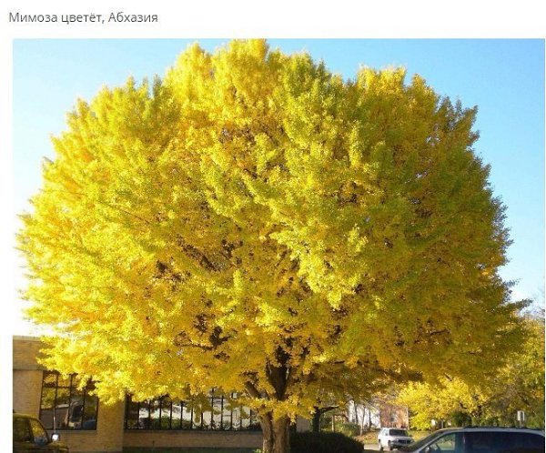 �� � �������� - 18 �������� 2017 � 08:22