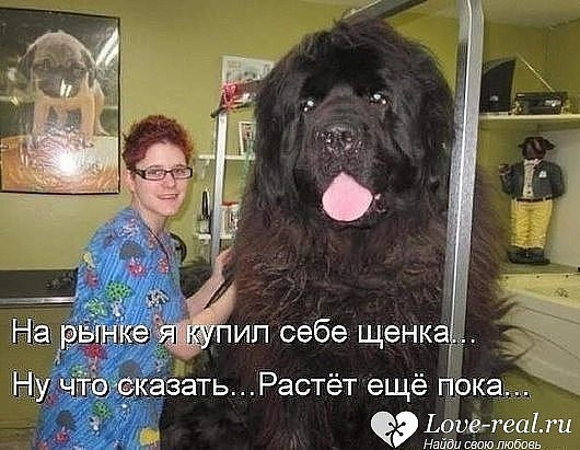 ©: Опишите вашу жизнь. - Материться можно? - Нет. - Тогда все хорошо. ... #лучшаятема9 - 3