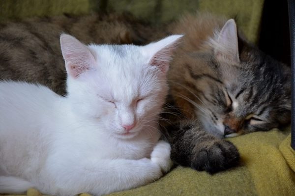   :3 - 2