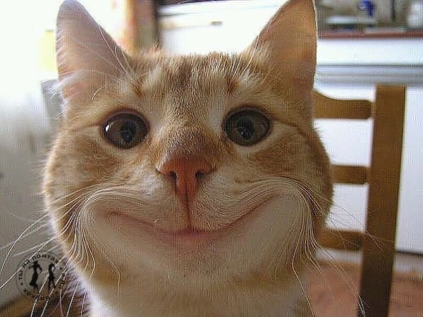 Улыбайтесь!))) Один хрен, ваши проблемы никого не волнуют. И живите так, чтобы жизнь, пиная вас, ...