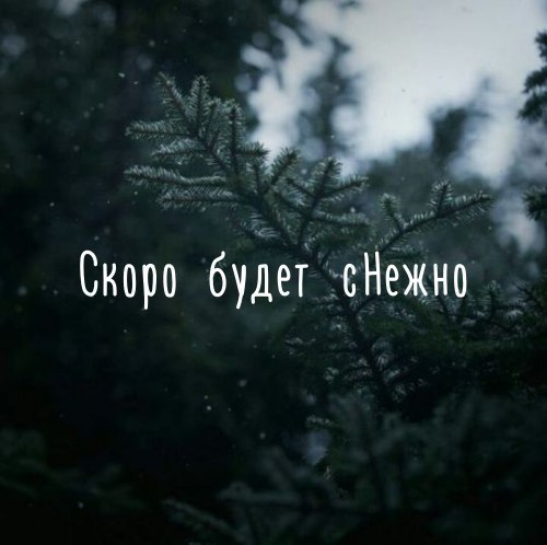  | ,  - 6  2017  09:52