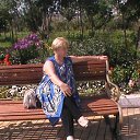 ���� �������, ��������, 52 ���� - ��������� 20 ������� 2017 � ������ ���� ����������