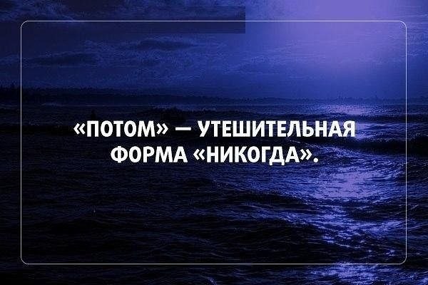 IQ Blog: , , ,  - 20  2017  20:02