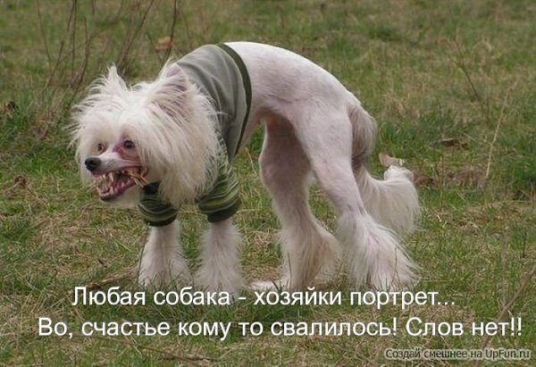 На халяву.Я хочу богатства, денег, славы. Я хочу авансом, напрокат: Счастья без усилий, на халяву, ... - 4