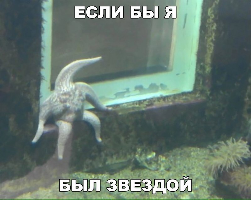    :D - 24  2017  00:02
