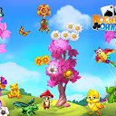 ���� ������, ����-���������, 51 ��� - ��������� 6 ��� 2017 � ������ �������� �������-�������