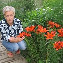 ���� �������, �����������, 46 ��� - ��������� 28 ������� 2017 � ������ ���� ����������