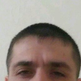 , 42, 