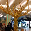 ���� �����, ��������, 53 ���� - ��������� 9 ������ 2017 � ������ ���� ����������