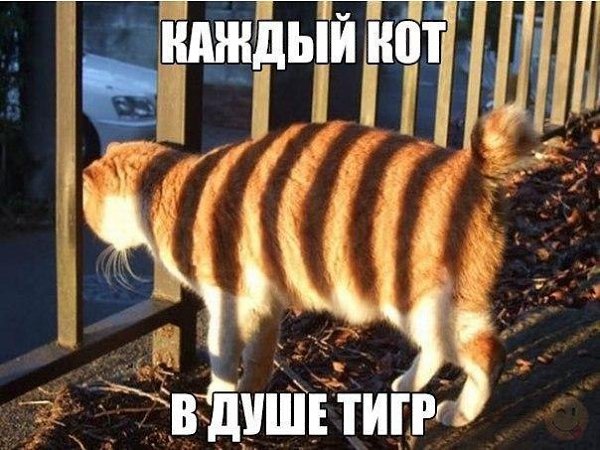 ������ �� ��� :D - 25 ���� 2017 � 02:33
