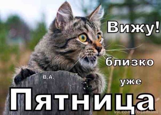 ...    ...  ...  ...    ,  ...